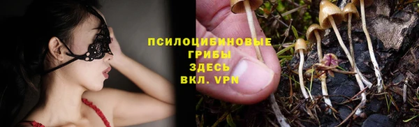 твердый Осташков
