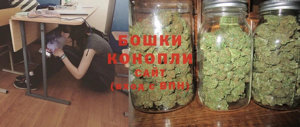 твердый Осташков