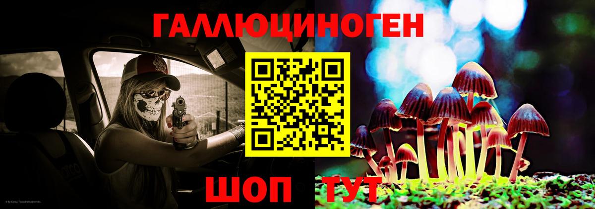 Галлюциногенные грибы Magic Shrooms  Вход с VPN  Волгоград  Псилоцибиновые грибы Psilocybine cubensis 